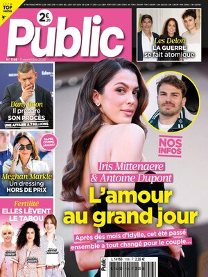 cover image of Public